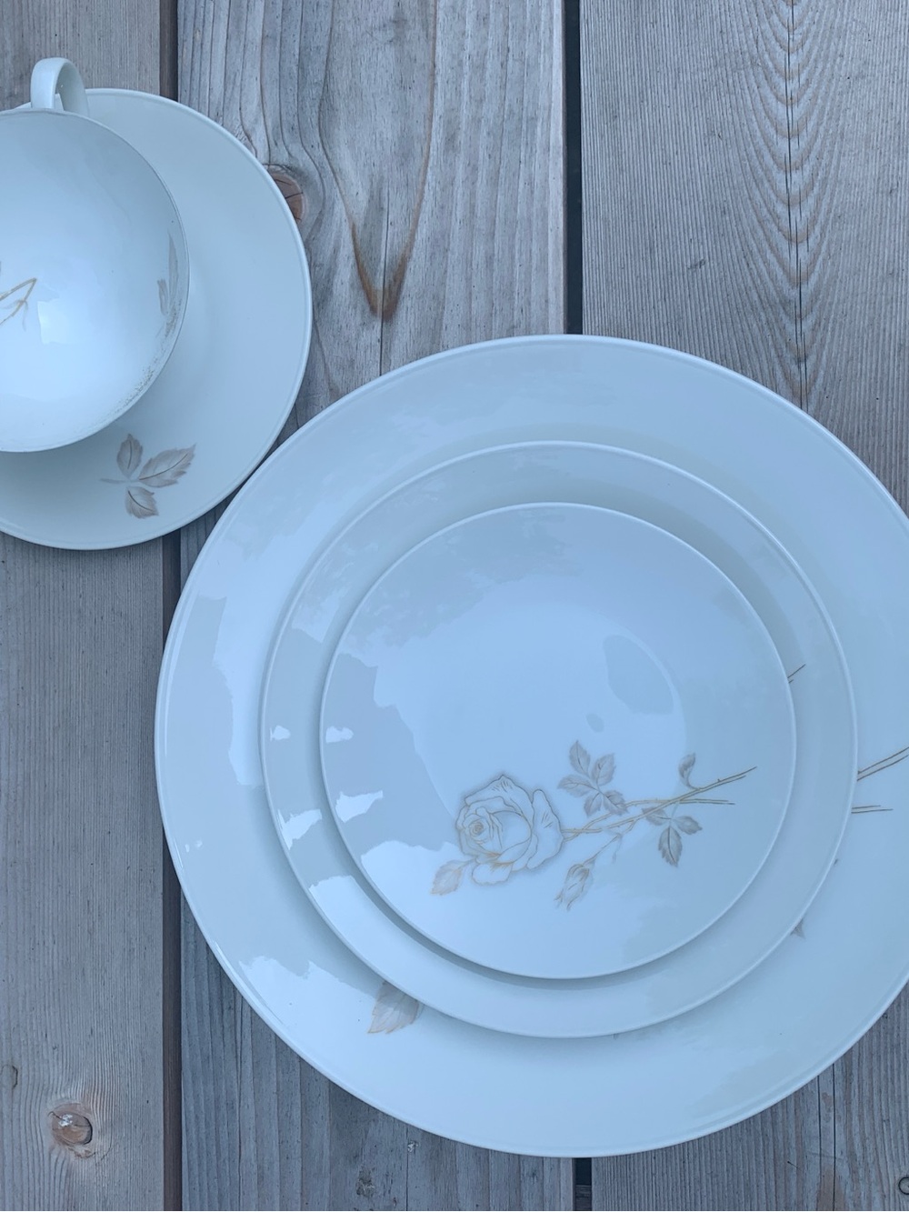Vintage Rosenthal "Classic Rose" 5-Piece Place Setting